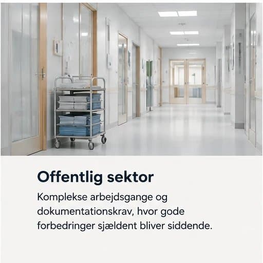 Offentlig sektor